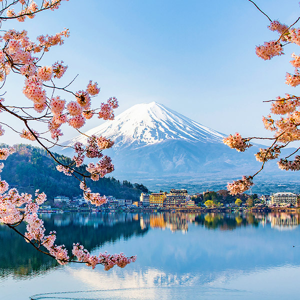 Mt Fuji