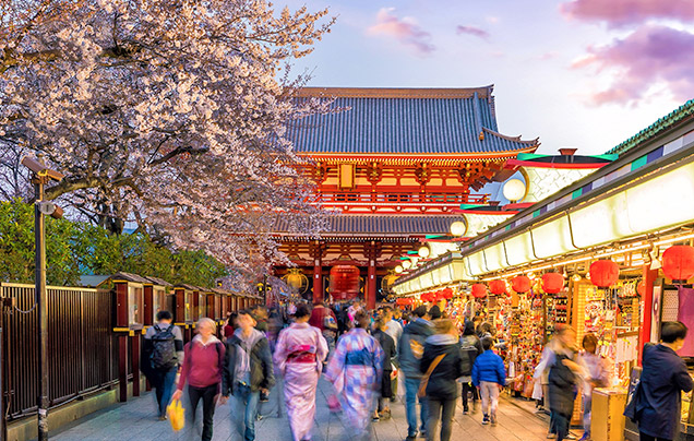 Day 3: Tokyo City Tour