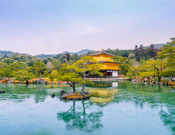 Private Tours