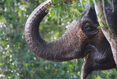 Thailand & Laos Adventure