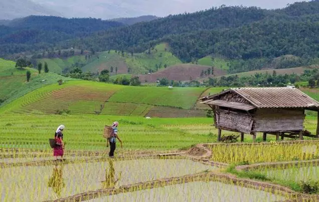 Day 7: Mae Salong Mountain