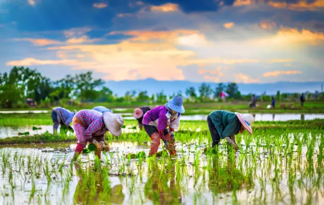 Day 10: Countryside Experience