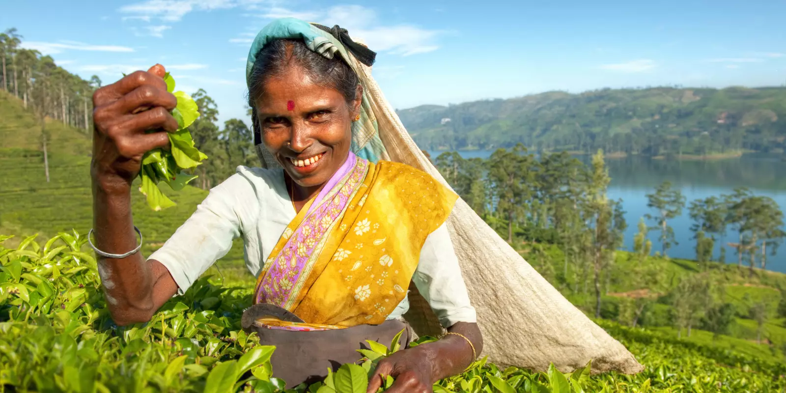 Highlights of Sri Lanka