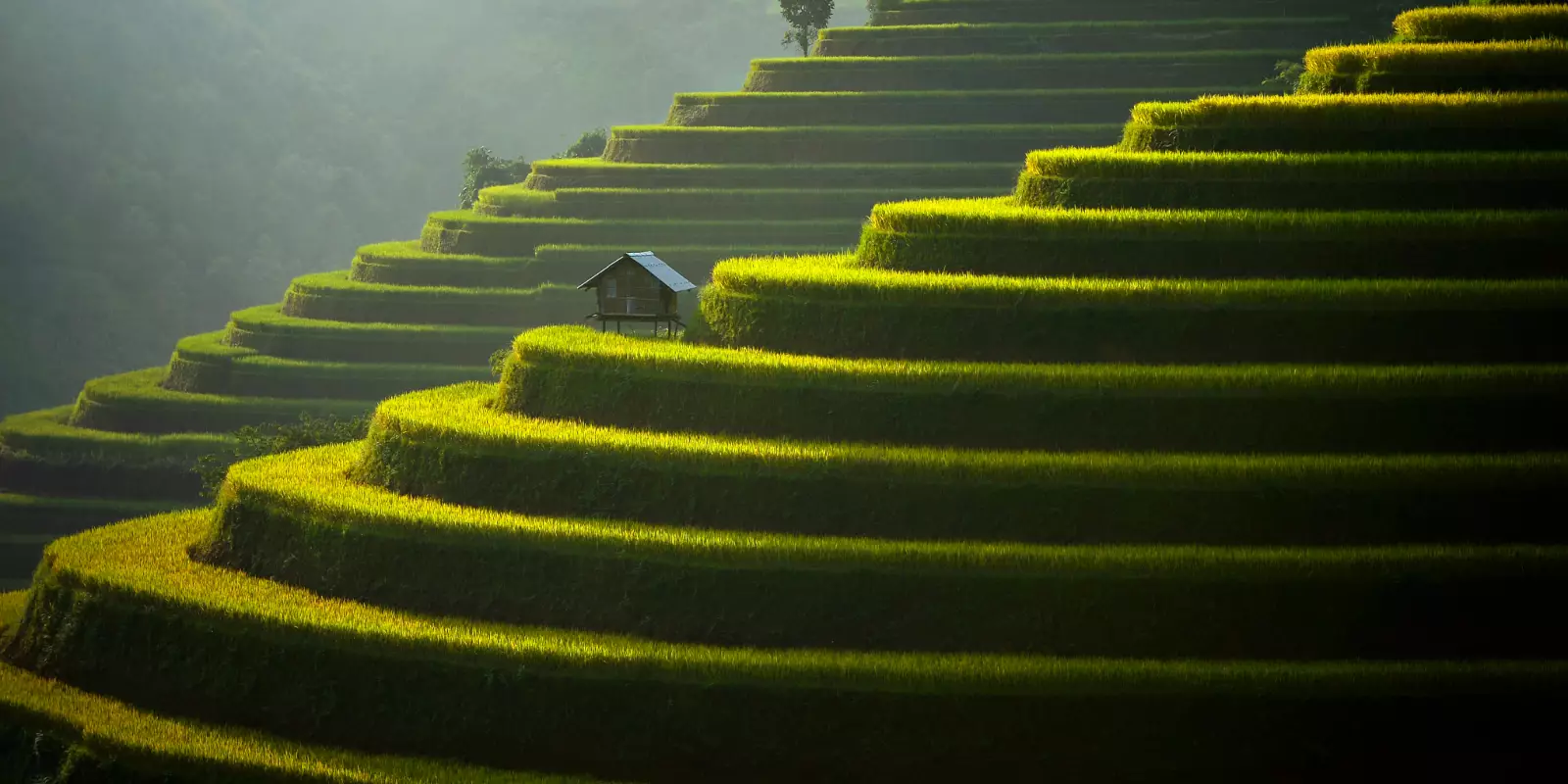 Sapa Short Stay