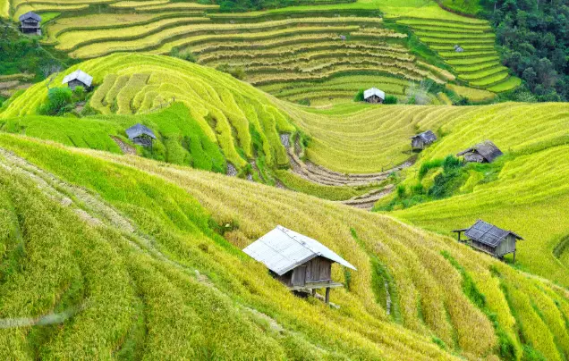 DAY 1: TRAVEL TO SAPA