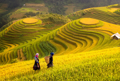 Sapa Short Stay