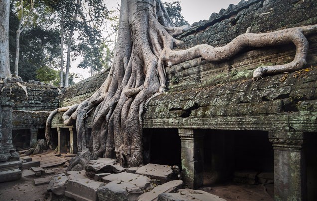 DAY 18: Tonle Sap Lake