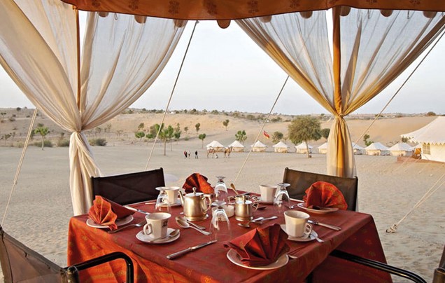 Day 6: Thar Desert Safari