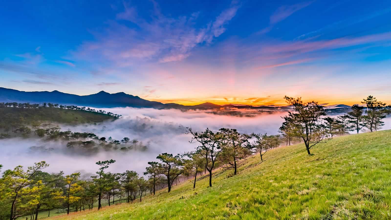 Vietnam Panorama