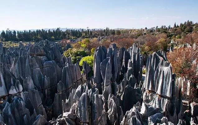 Day 10: Stone Forest
