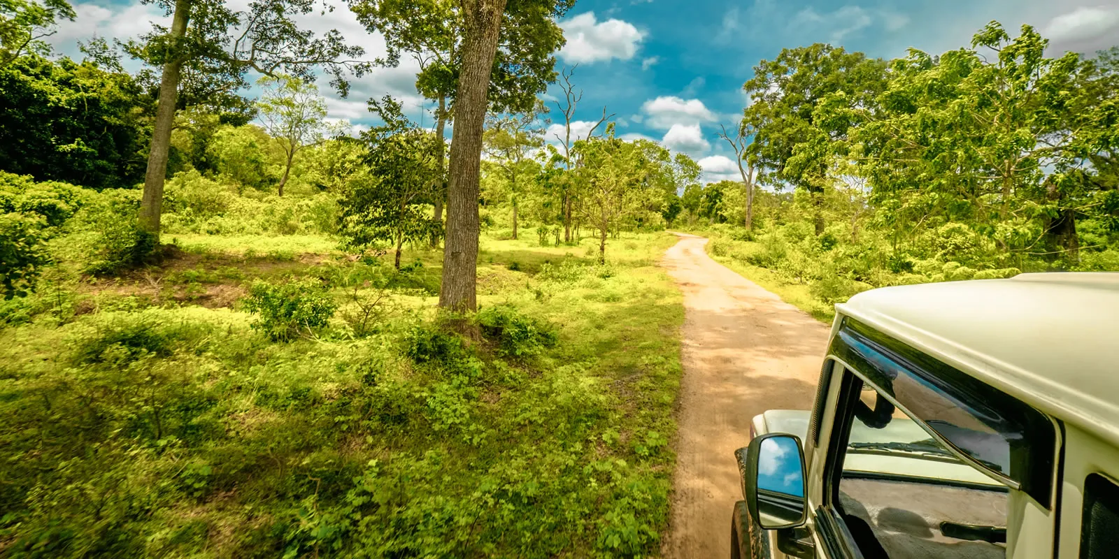 Yala National Park Holidays