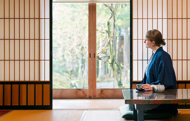 Accommodation Choices