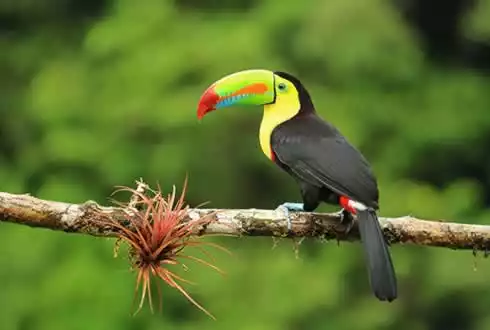 Costa Rica