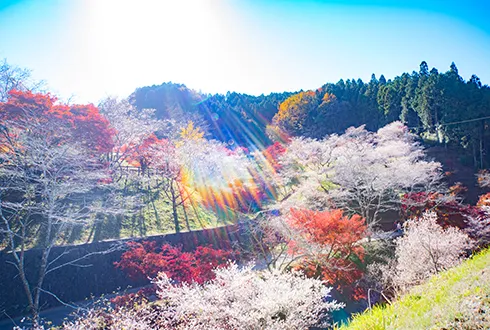 Aichi Prefecture