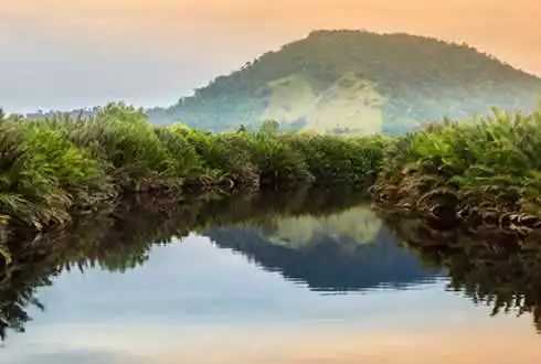 Borneo