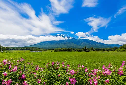 Iwate Prefecture