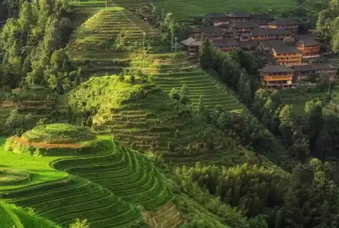 Longsheng Rice Terraces