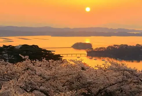 Miyagi