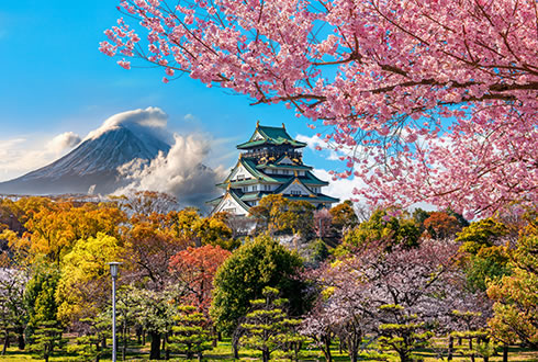 japan cherry blossom tour packages