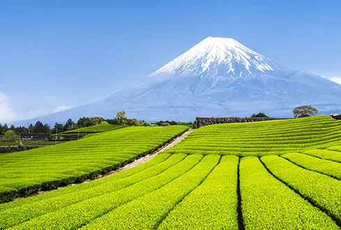 Shizuoka Prefecture