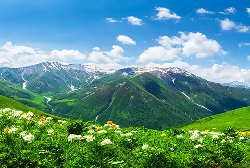 Georgia