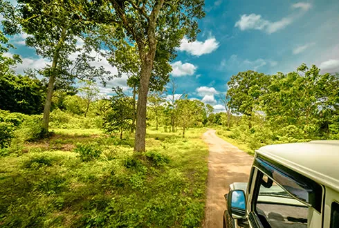 Yala National Park