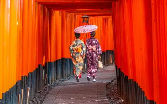 NEW Japan 2026-2028 Brochure - Out Now