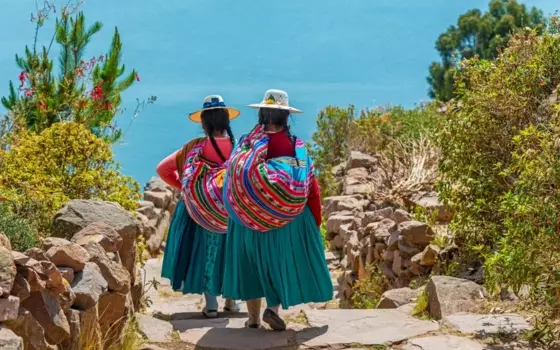 New Latin America 2027-28 brochure launch offer