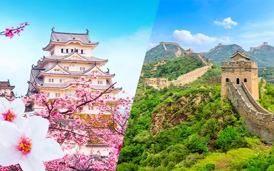 The Ultimate Flight Sale