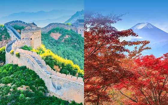 Every destination. Every tour. On Sale!