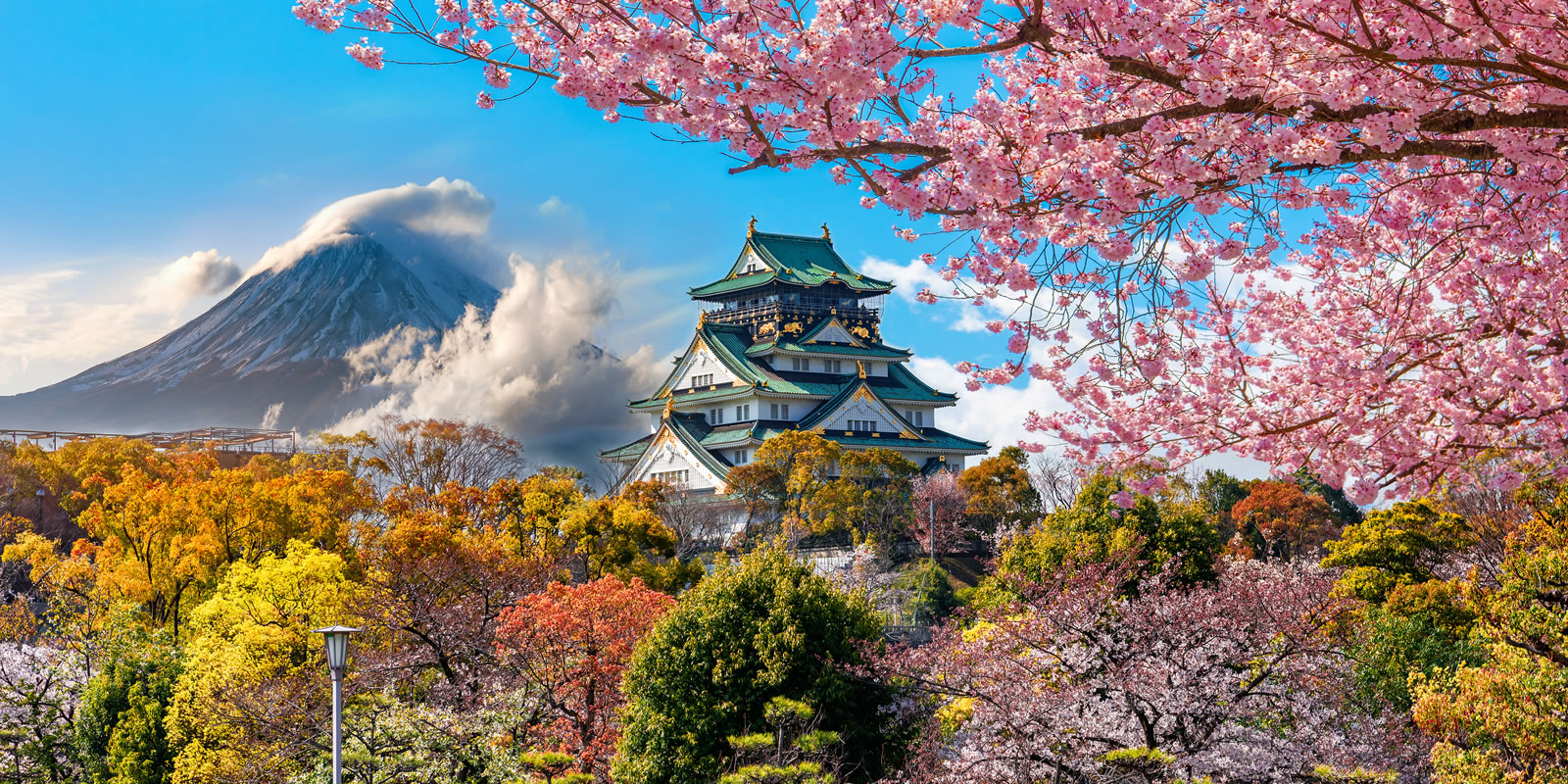10 Things to Do in Osaka: A Traveler's Must-See Guide