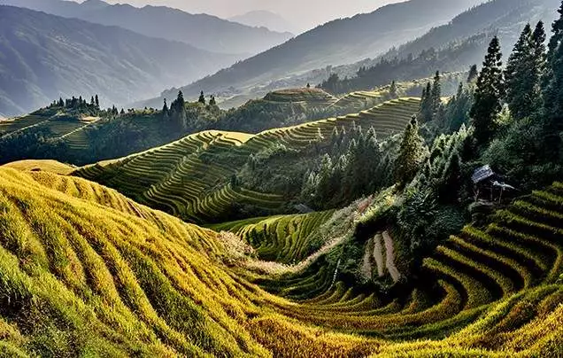 DAY 18: Hiking in Longji (optional)