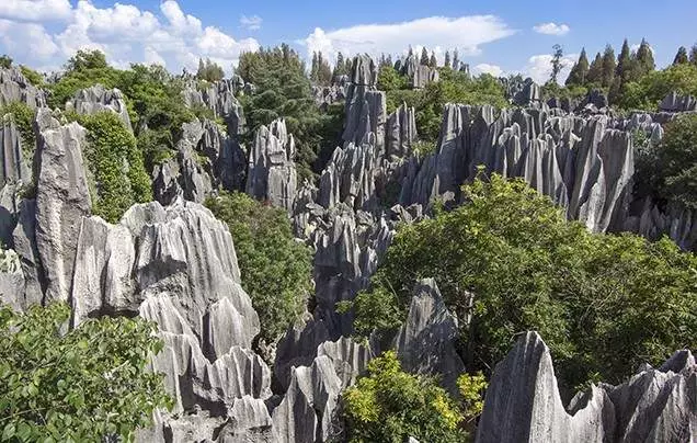 DAY 16: Stone Forest