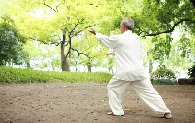 DAY 20: Yangshuo Tai Chi