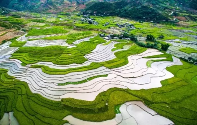 DAY 5: Trekking The Terraces