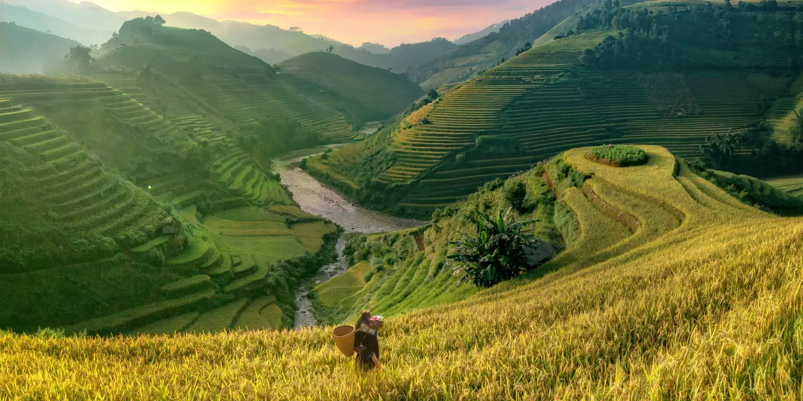 Vietnam Trails