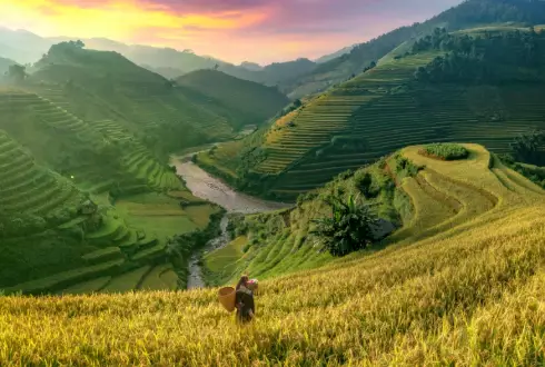 Vietnam Trails