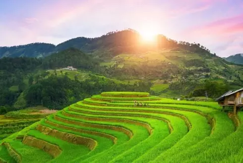 Vietnam Trails